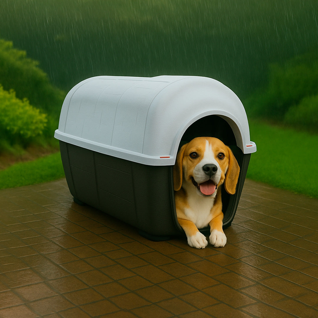 Casas para Mascotas