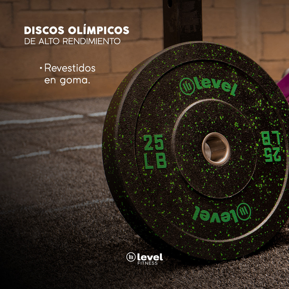 Par Discos Olímpicos Horus