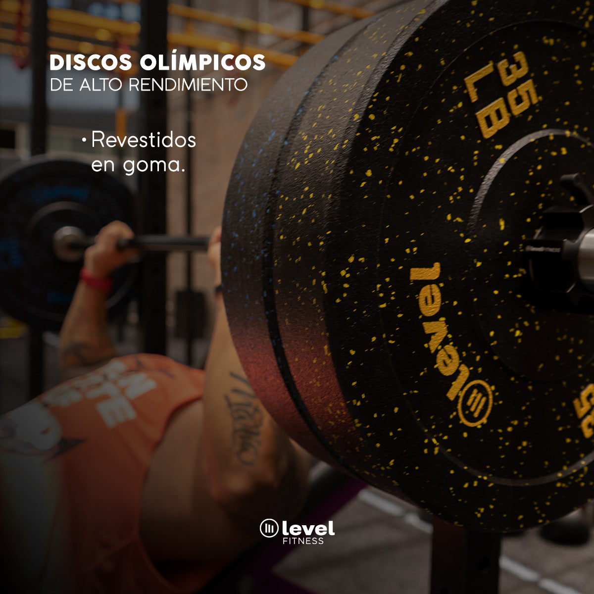 Par Discos Olímpicos Horus