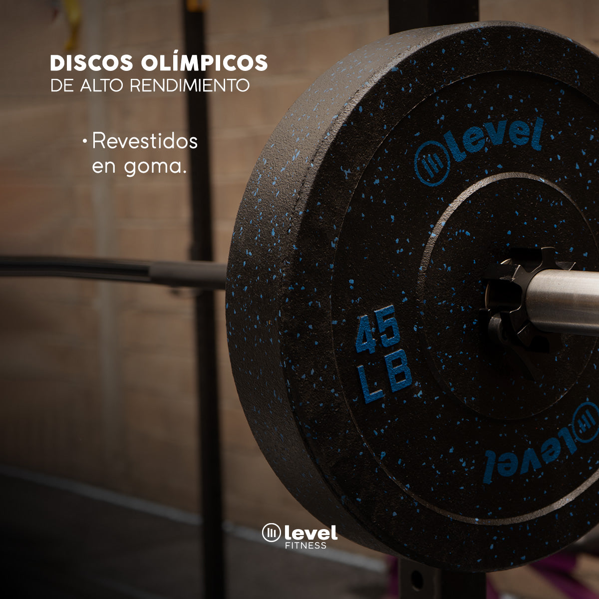 Par Discos Olímpicos Horus