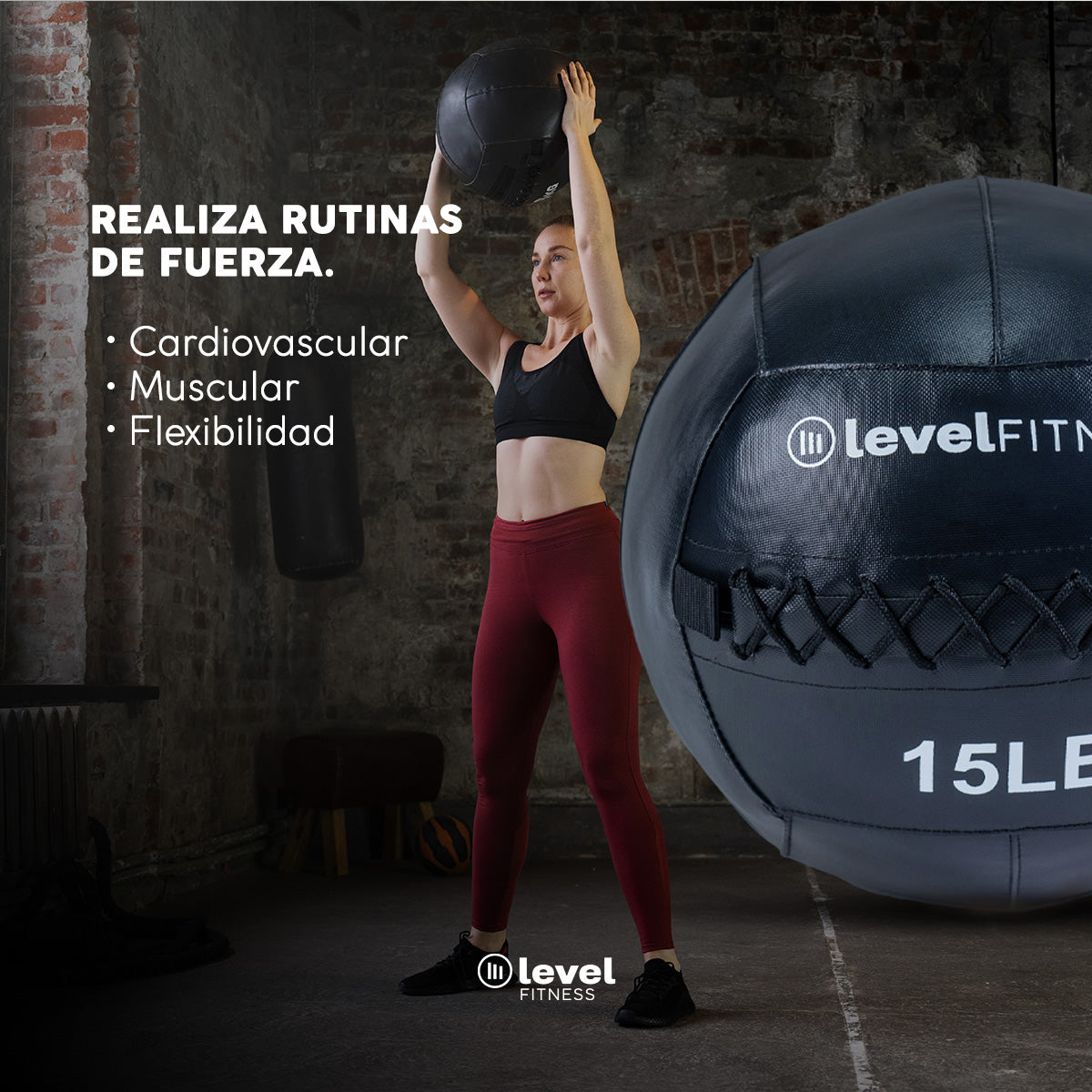 Pelota Wall Ball 15lbs Crossfit Level Fitness Gym