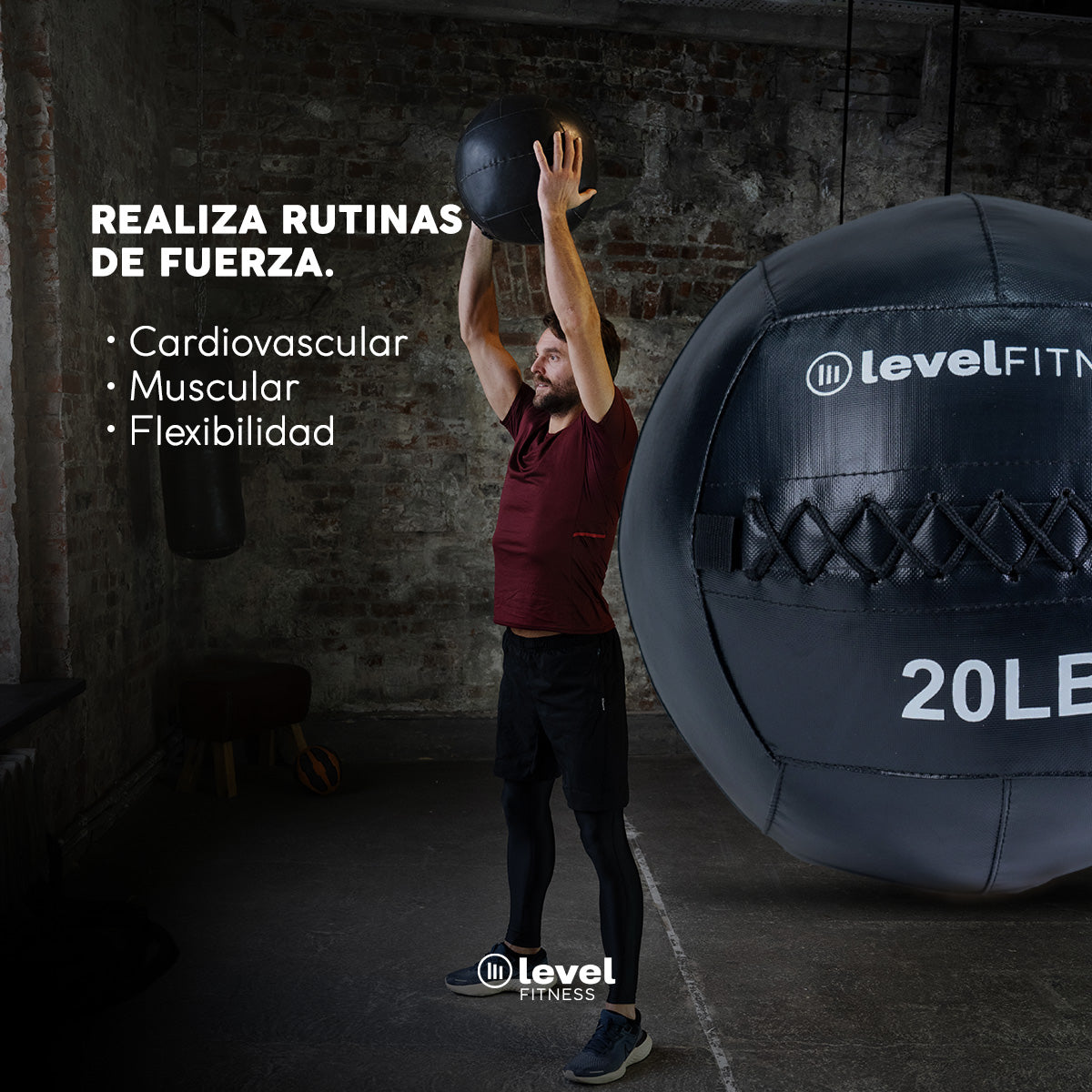 Pelota Wall Ball 20lbs Crossfit Level Fitness Gym