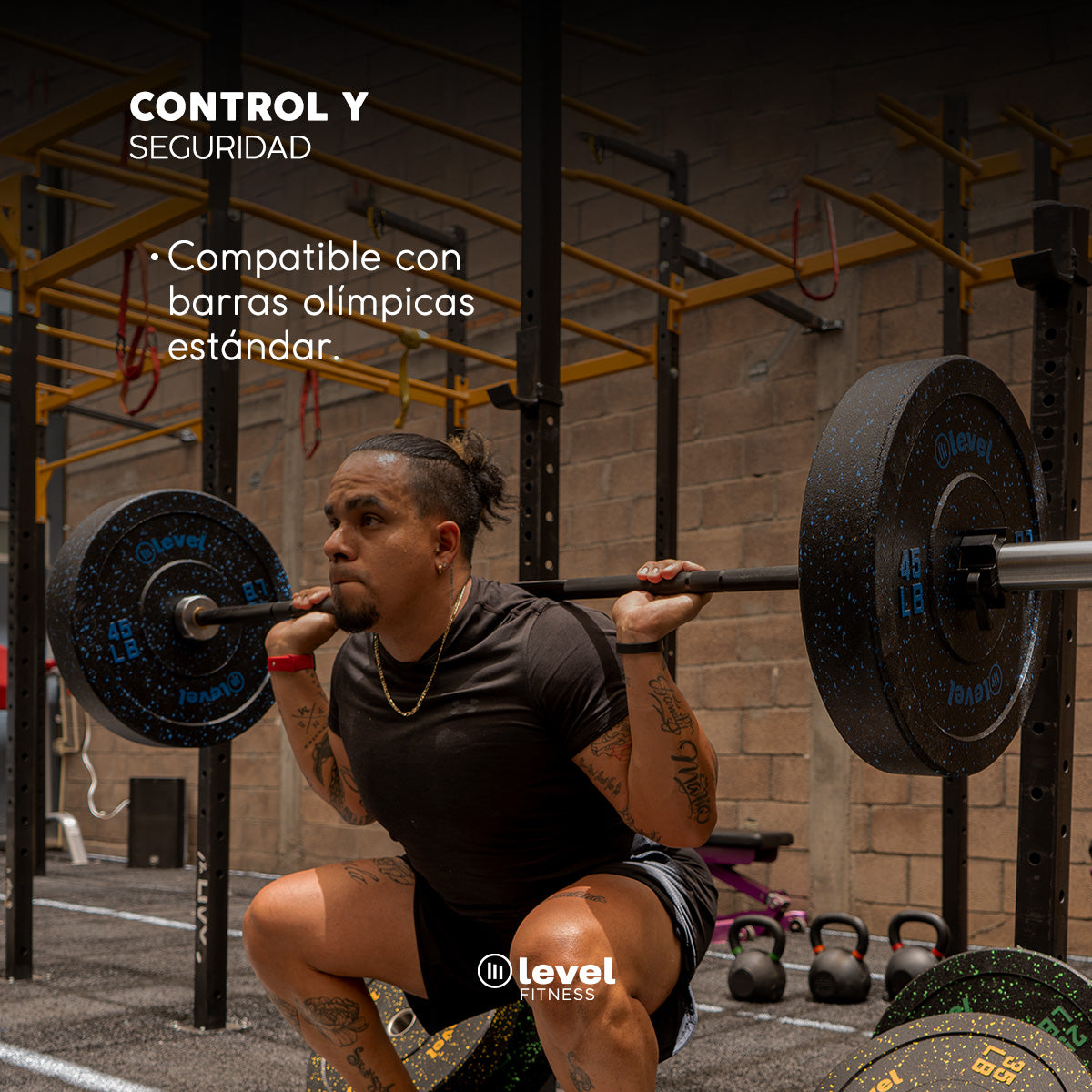 Par Discos Olímpicos Horus