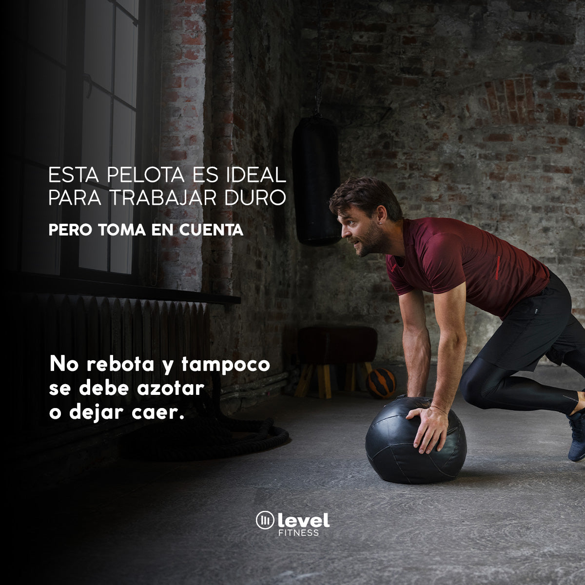 Pelota Wall Ball 20lbs Crossfit Level Fitness Gym