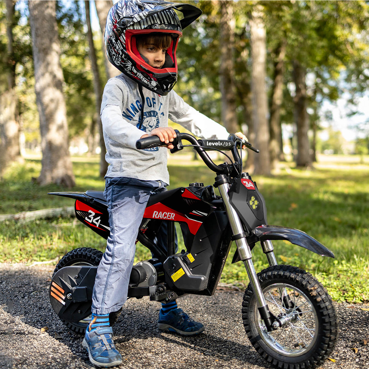 Motocicleta eléctrica RACER 36V, motor de 300 W, 25 km/h