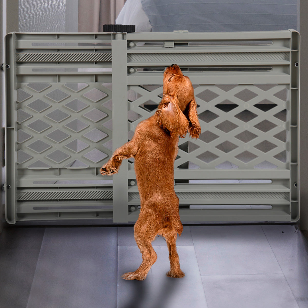 Barrera Ajustable para Mascotas Portátil y Expandible