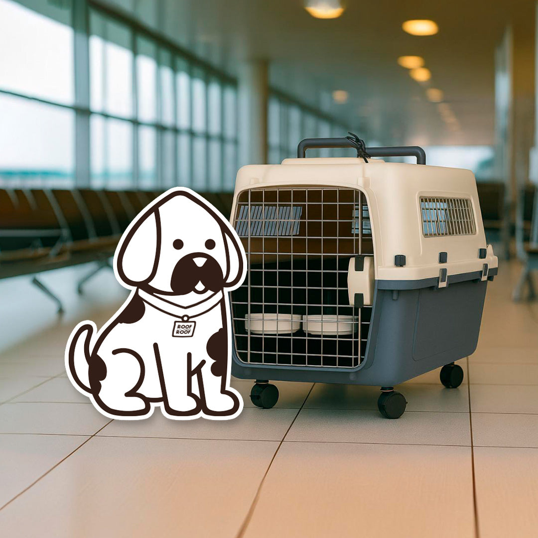 Jaula Transportadora Para Mascotas Modelo Wag