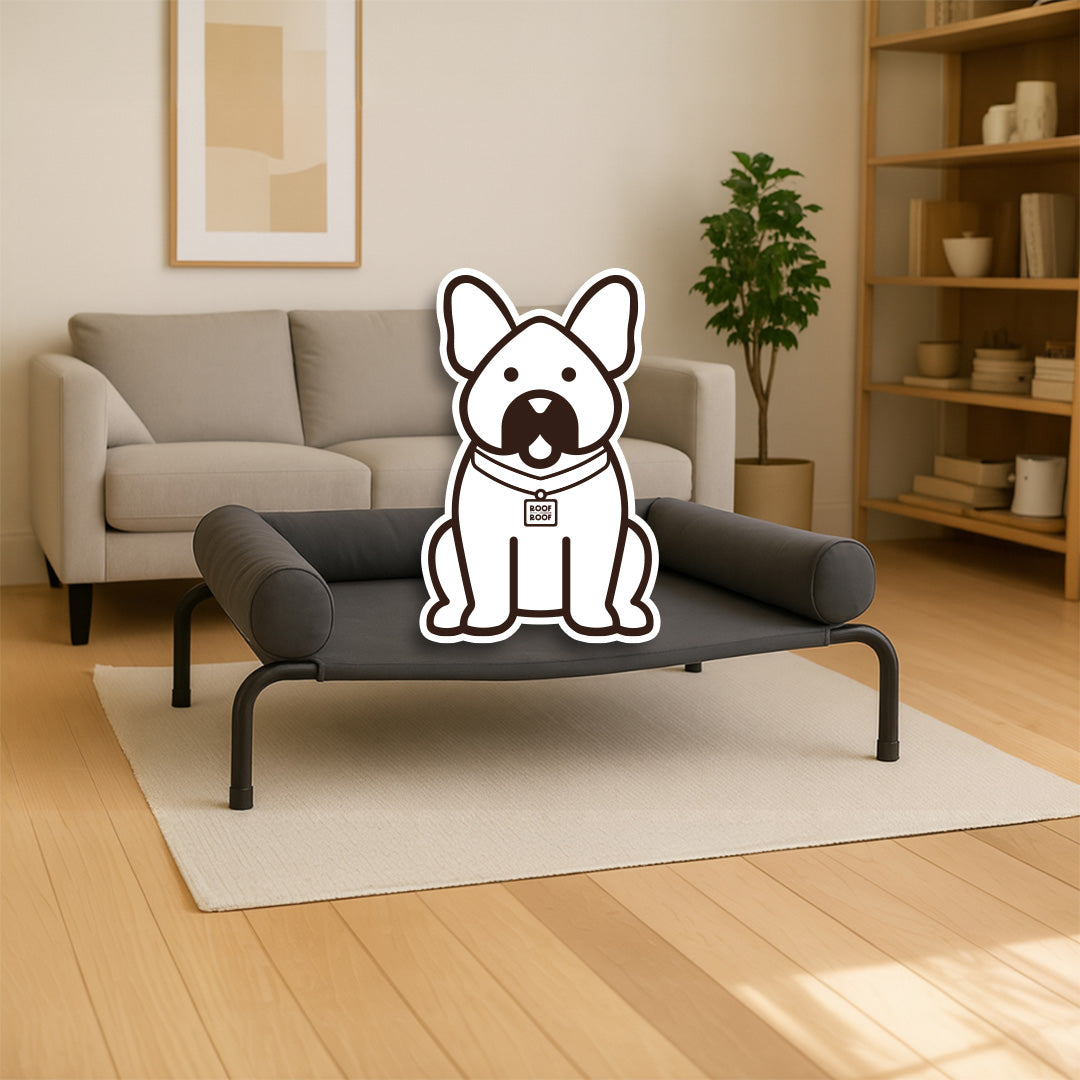 Cama Elevada para perro con colchón, gris