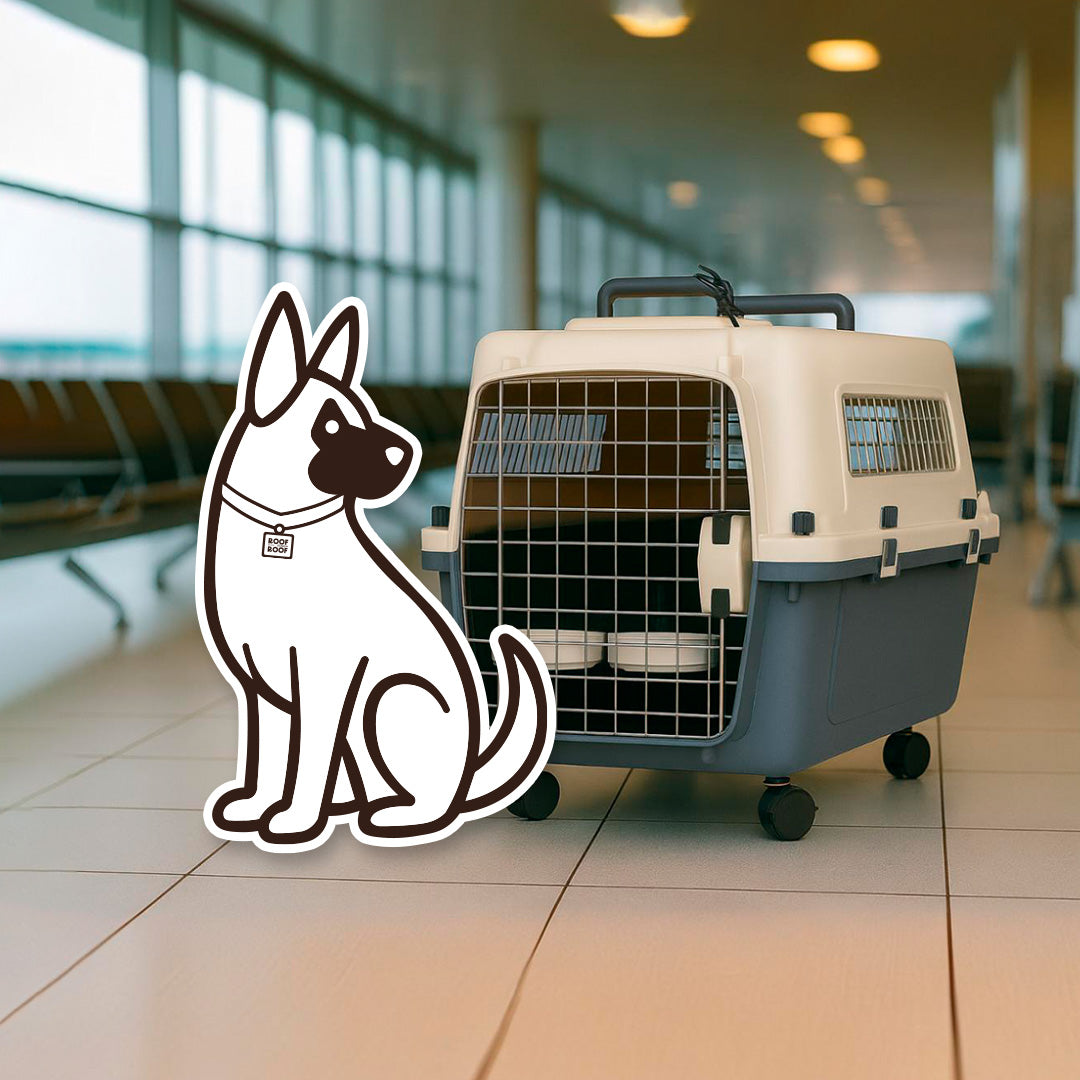 Jaula Transportadora Para Mascotas Modelo Wag