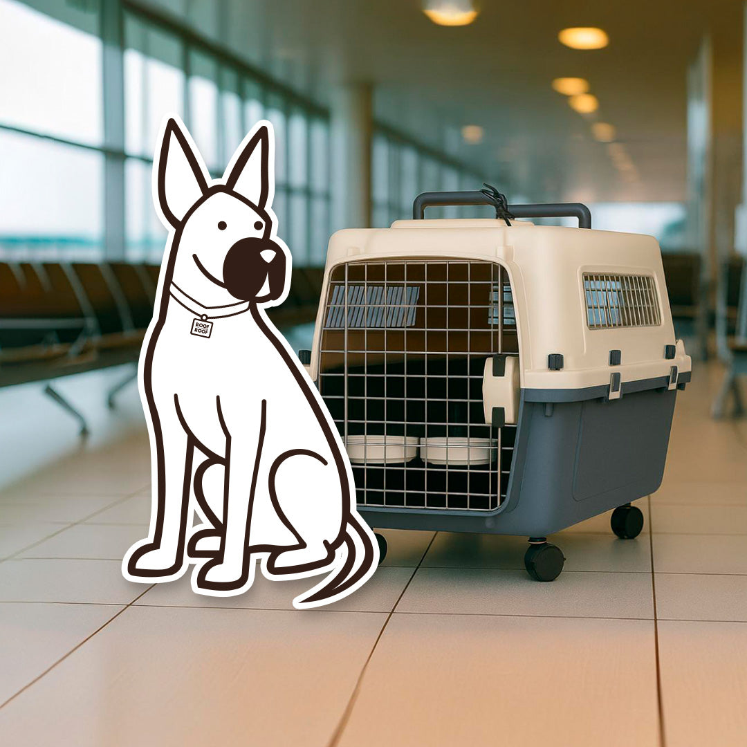 Jaula Transportadora Para Mascotas Modelo Wag