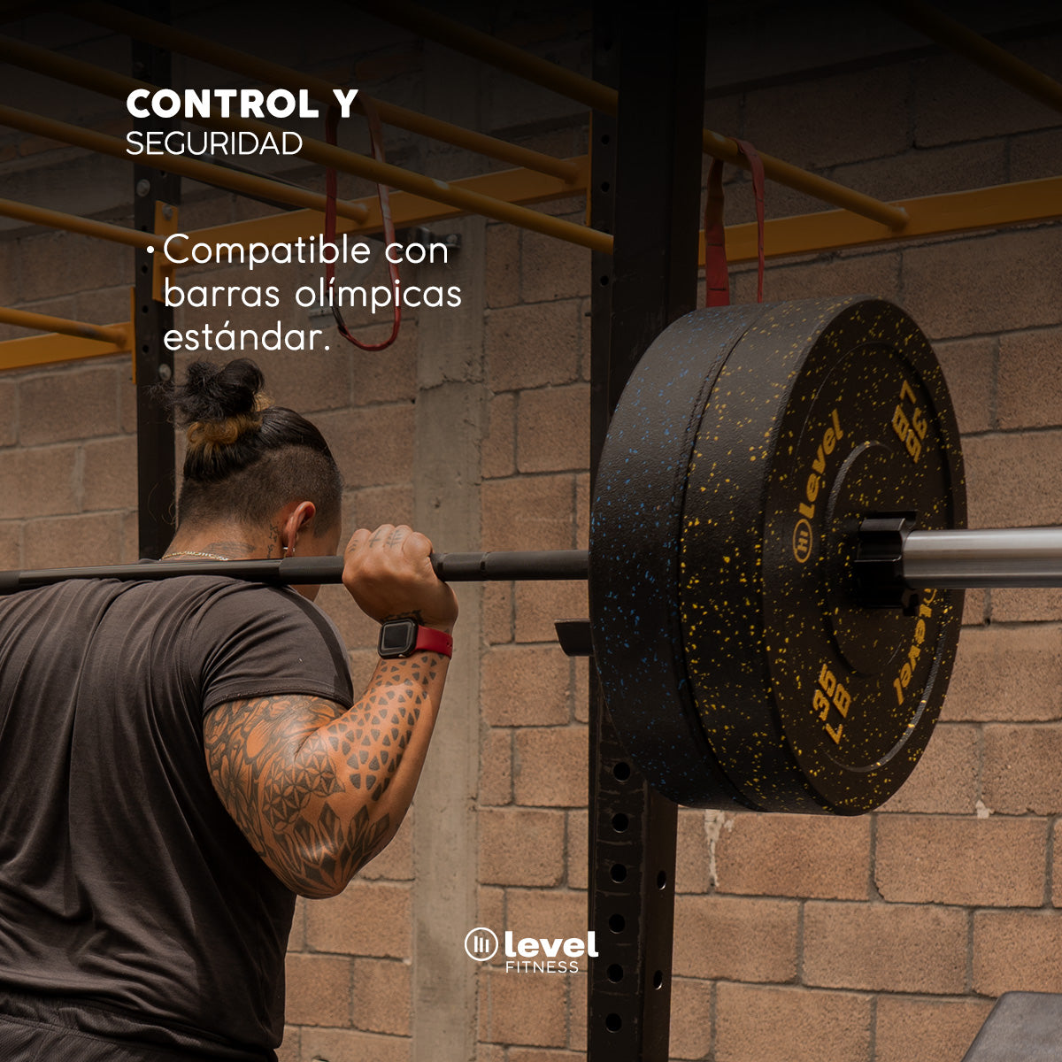 Par Discos Olímpicos Horus