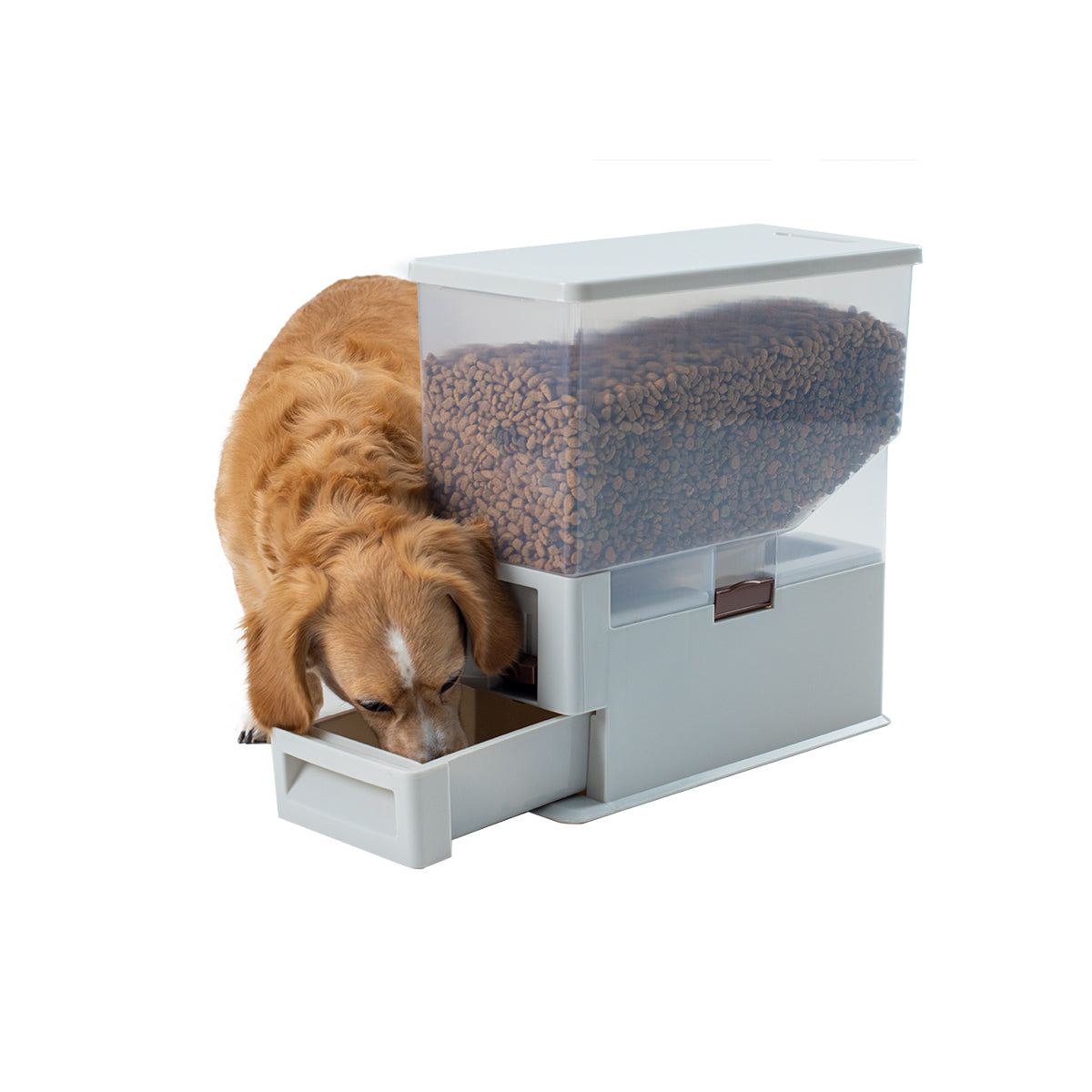 Dispensador de Alimento para Mascotas